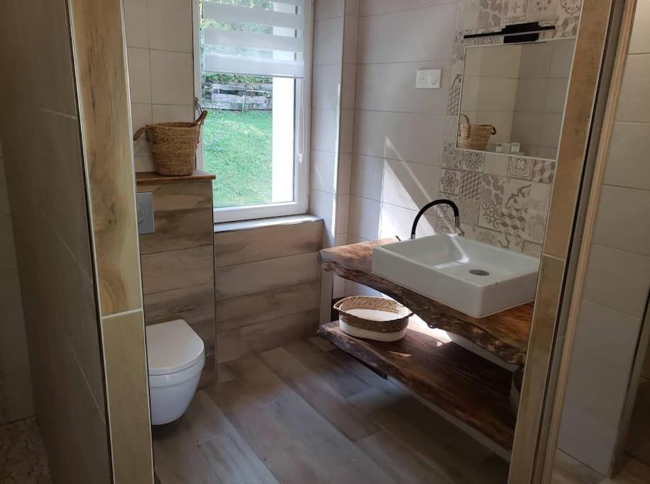 Le Bord De Sarre Meuble 3 Etoiles Apartment Sarreguemines Luaran gambar